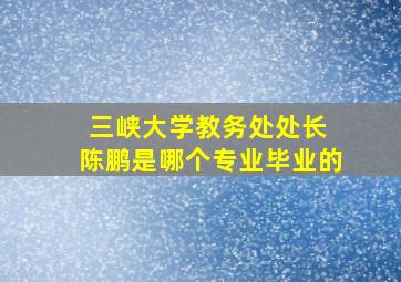 三峡大学教务处处长 陈鹏是哪个专业毕业的